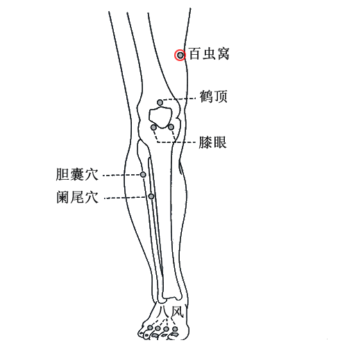 百虫窝