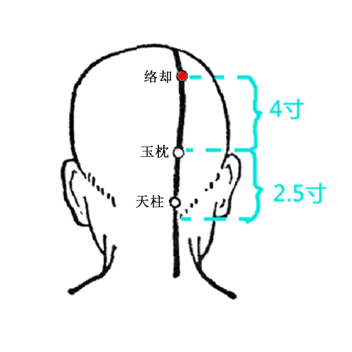 络却