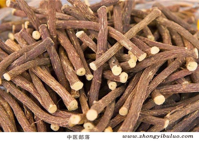 甘草 - 图片2