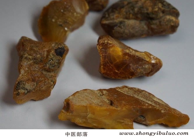 琥珀 - 图片3