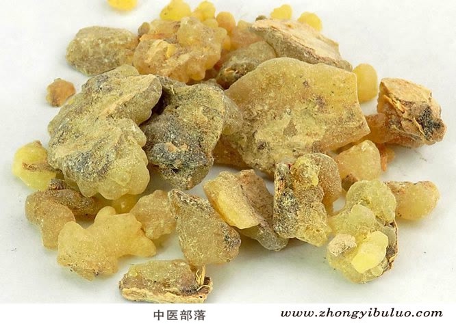 乳香 - 图片2