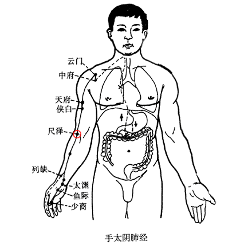 尺泽
