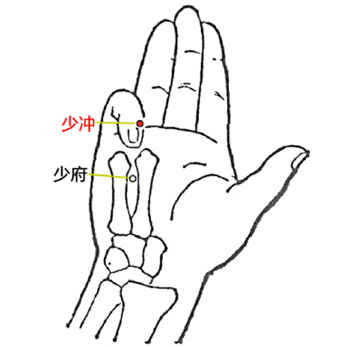 少冲
