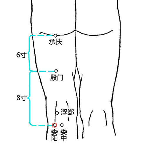 委阳
