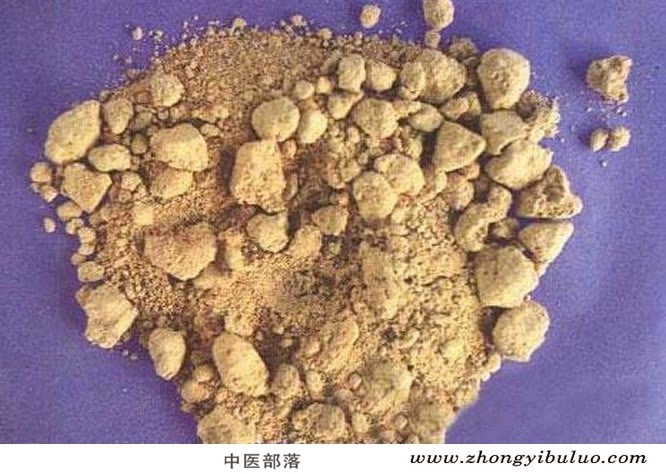 巴豆 - 图片2