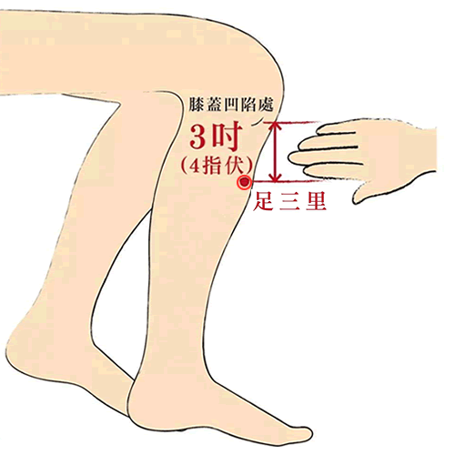 足三里