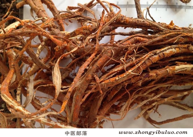 桑白皮 - 图片3