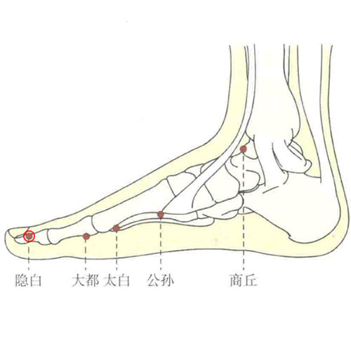 隐白