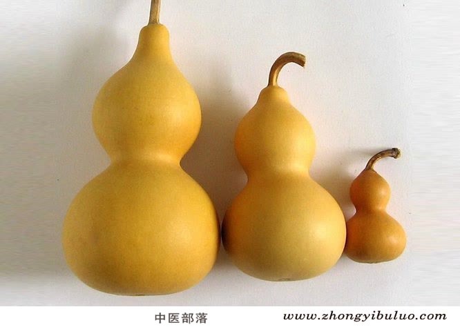 葫芦 - 图片2