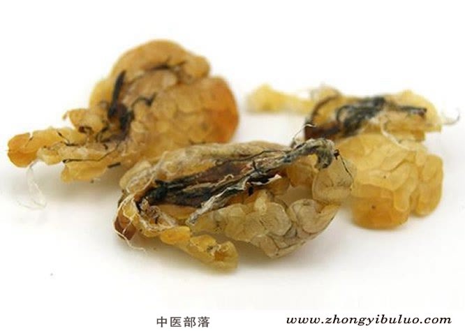 哈蟆油 - 图片2