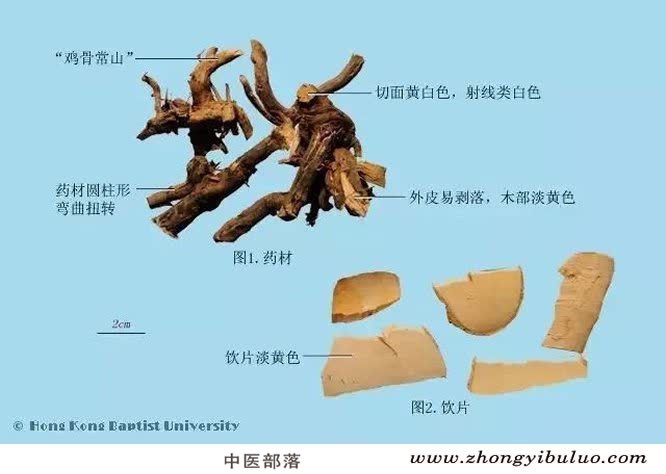 常山 - 图片2