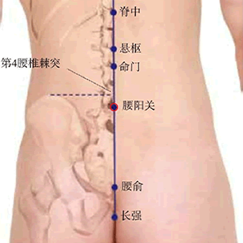 腰阳关