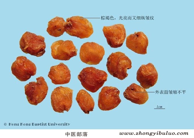 龙眼肉 - 图片2