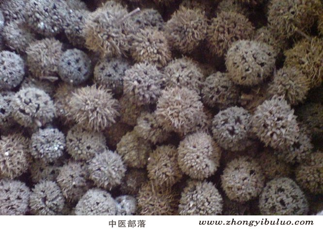 路路通 - 图片2