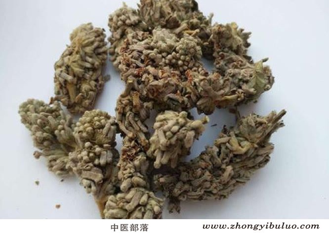 密蒙花 - 图片2
