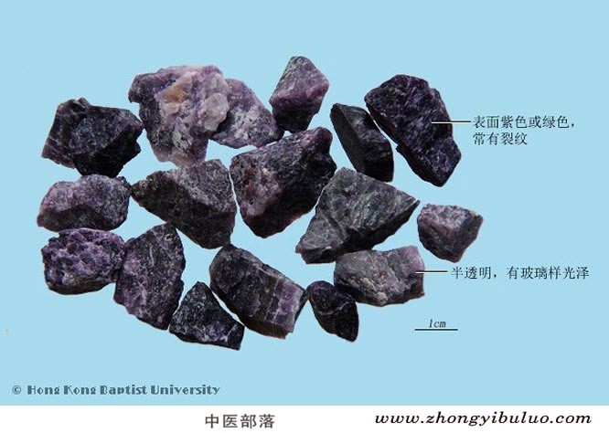 紫石英 - 图片2