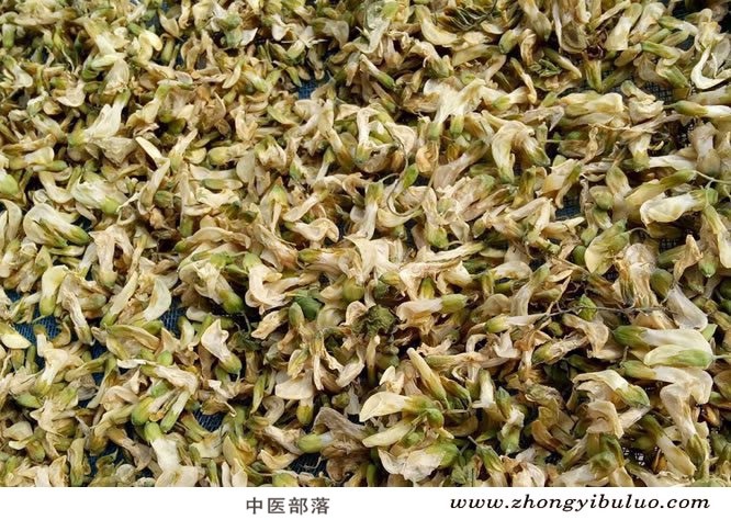 槐花 - 图片2