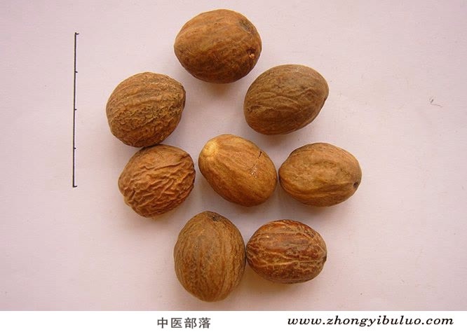 豆蔻 - 图片2