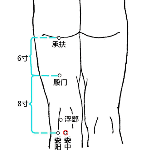 委中