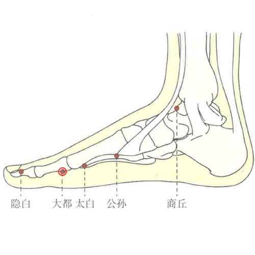 大都