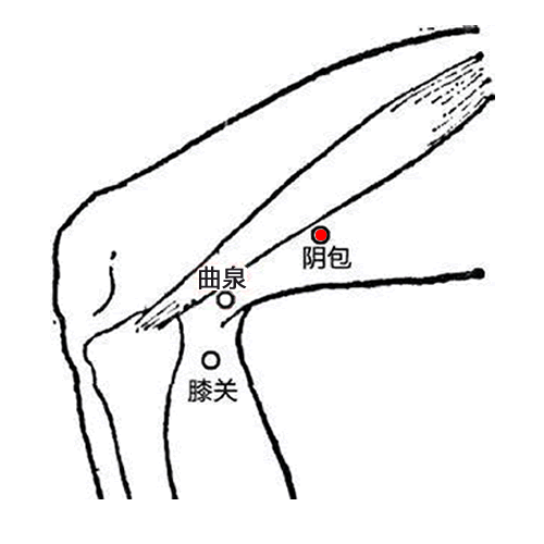 阴包