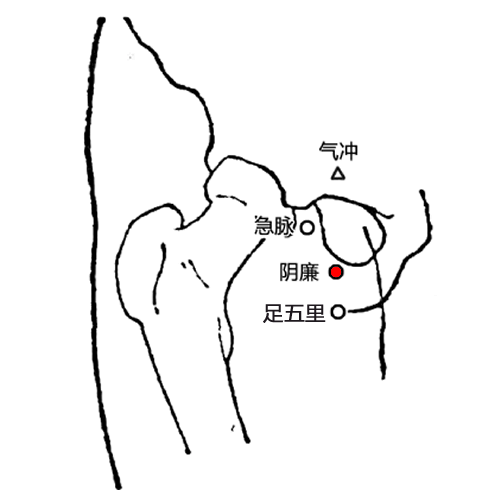 阴廉