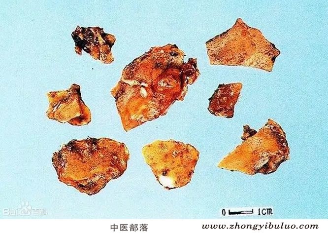 苏合香 - 图片2
