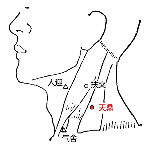 天鼎