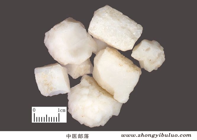 天竺黄 - 图片2