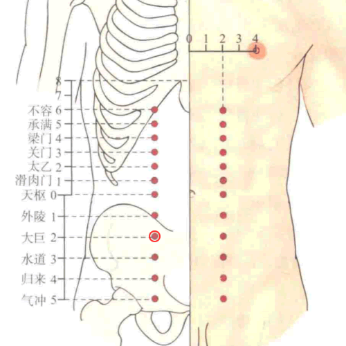 大巨