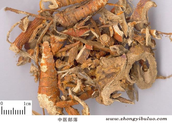 桑白皮 - 图片2