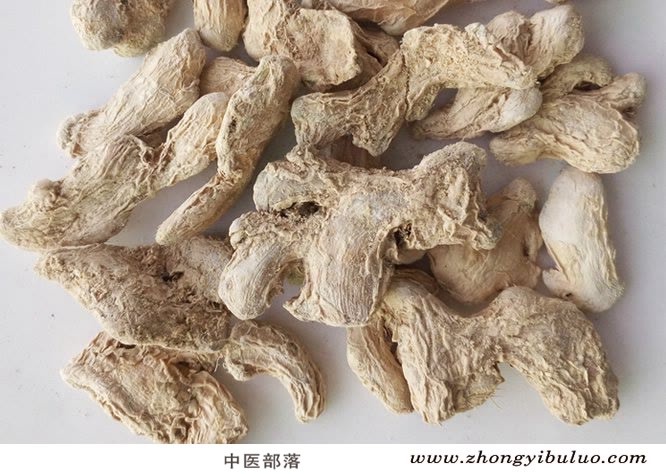 干姜 - 图片3