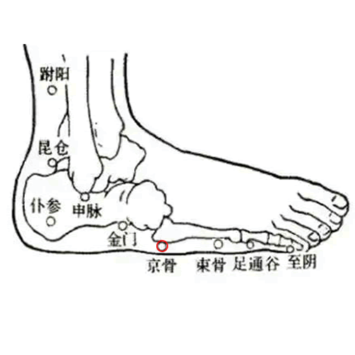 京骨
