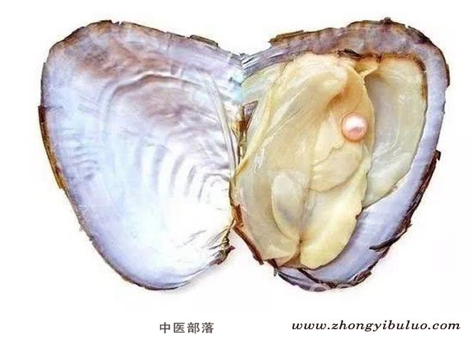 珍珠 - 图片3