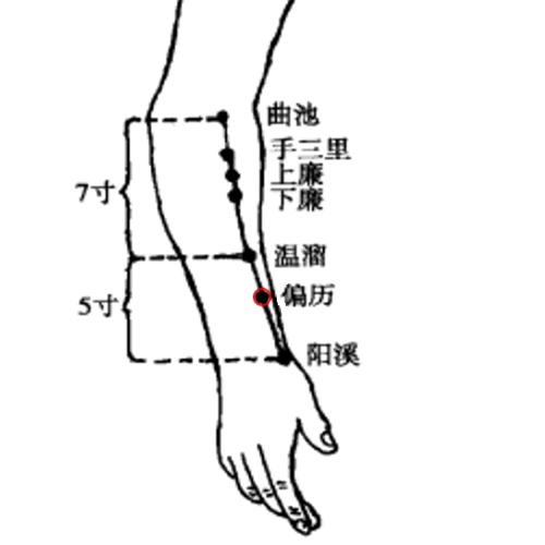 偏历