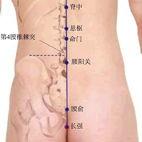长强