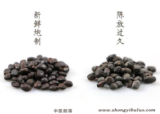 淡豆豉 - 图片3