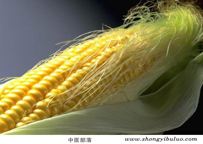 玉米须 - 图片2