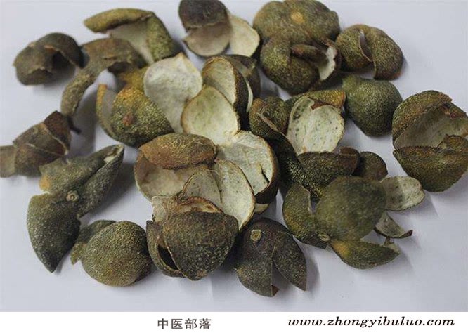 青皮 - 图片2