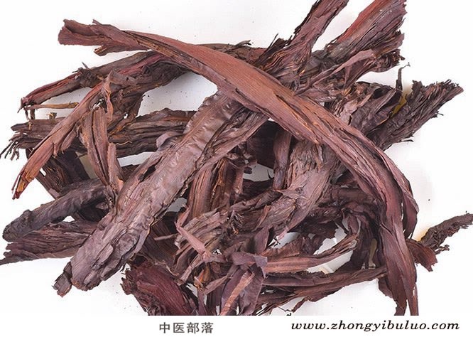 紫草 - 图片2