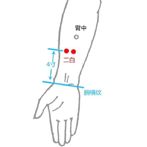 二白