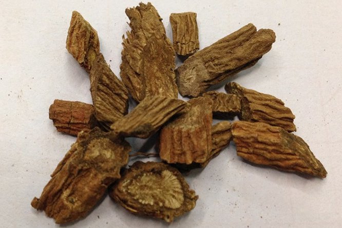 续断