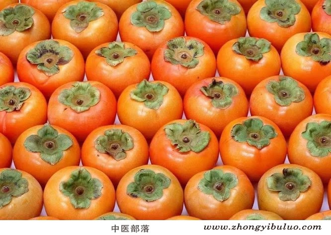 柿蒂 - 图片3