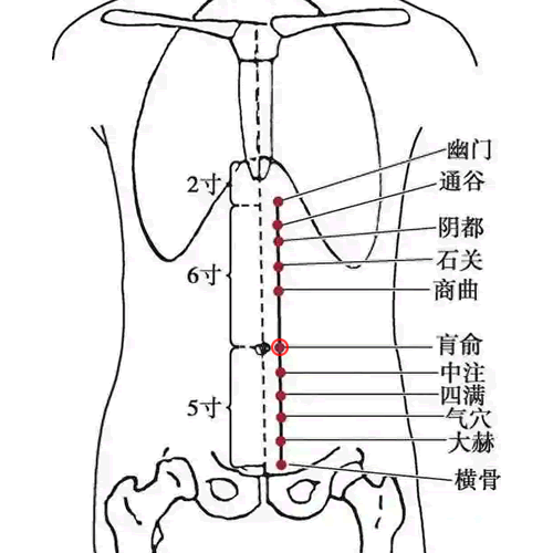 肓俞