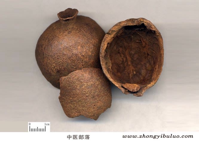 石榴皮 - 图片2