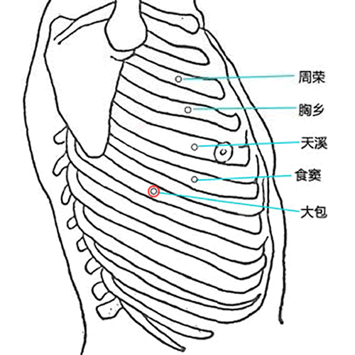 大包