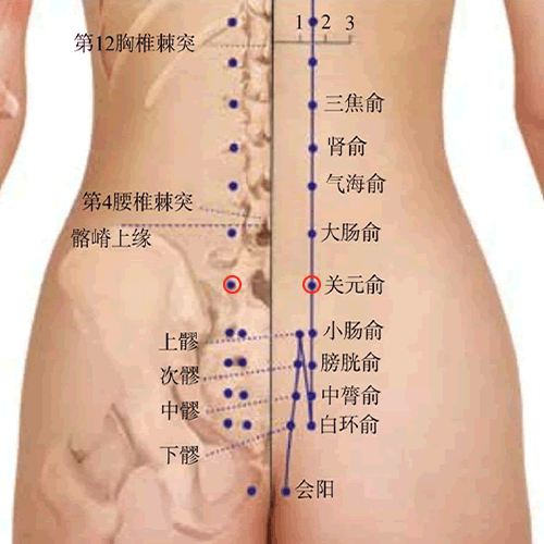 关元俞