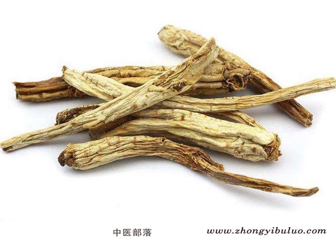 桔梗 - 图片2