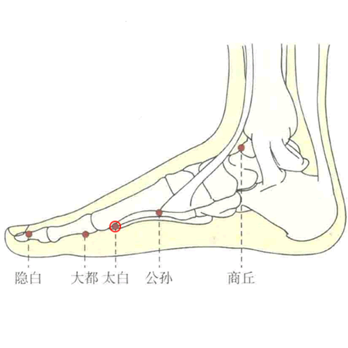 太白