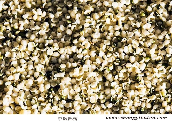 火麻仁 - 图片2